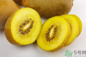 金奇異果什么人不能吃？金奇異果的禁忌