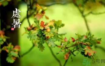 處暑還熱嗎？處暑還要熱多久？