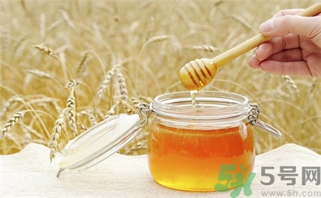 秋天喝蜂蜜好嗎?秋天喝蜂蜜的好處 秋天喝蜂蜜好嗎?秋天喝蜂蜜的好處