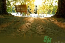 處暑為什么要吃鴨？處暑吃鴨的好處有哪些？