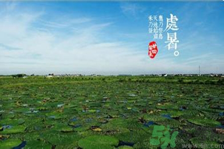 處暑出生的人怎么取名？處暑出生的人的命運(yùn)？