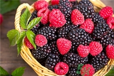 孕婦可以吃覆盆子嗎?孕婦吃覆盆子會(huì)怎樣? 孕婦可以吃覆盆子嗎?孕婦吃覆盆子會(huì)怎樣?