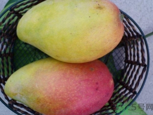 青芒和黃色芒果哪個好？青芒和黃色芒果的區(qū)別