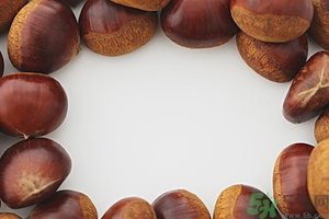 板栗發(fā)芽了能吃嗎？發(fā)芽的板栗還能吃嗎？