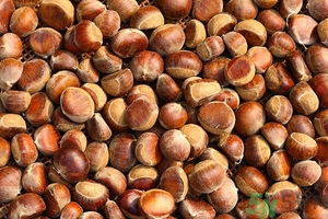 板栗皮可以吃嗎？板栗皮的功效與作用