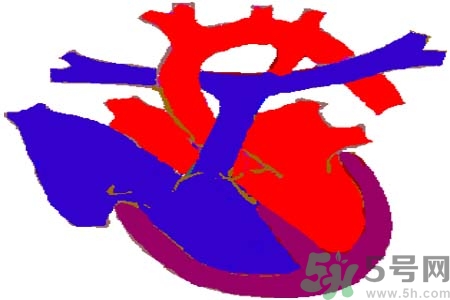 心臟病是怎么形成的？易發(fā)人群有哪些？