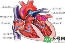 心臟病的癥狀是什么？心臟病的種類有哪些？