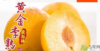 恐龍蛋水果怎么吃？恐龍蛋水果皮能吃嗎？