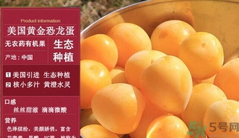 恐龍蛋水果怎么吃？恐龍蛋水果皮能吃嗎？