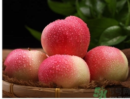 嘎啦果的功效作用 嘎啦果的營養(yǎng)價值 嘎啦果的功效作用 嘎啦果的營養(yǎng)價值