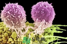 不宜過多食用辣椒的人群有哪些？夏天吃辣椒的好處有哪些？