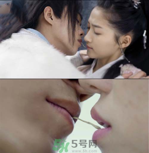 天空草是什么？天空草有什么用？