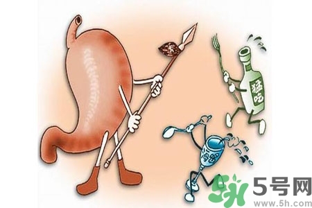 哪些食物幫你在酒后保養(yǎng)胃部？養(yǎng)胃護胃的誤區(qū)是什么？