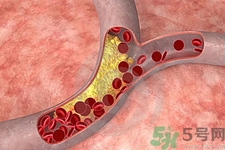 膽固醇對(duì)人體有傷害嗎？膽固醇是什么？