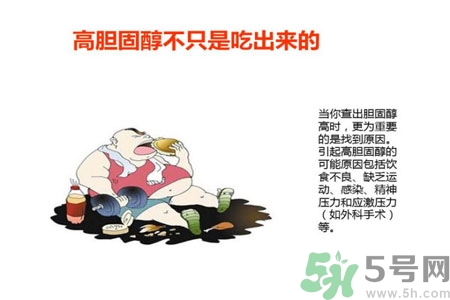 高膽固醇人群該怎么辦？膽固醇高需注意什么？