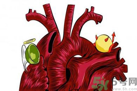 人體中的膽固醇分好壞嗎？如何區(qū)分膽固醇的好壞？