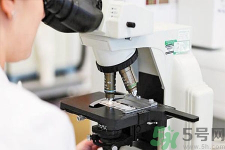 激素是什么？激素會對人體產生什么作用？