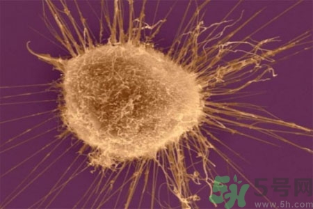 激素是什么？激素會對人體產生什么作用？