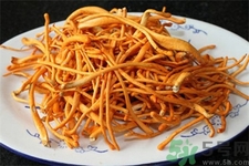 吃蟲草花有什么好處?蟲草花的功效與作用 吃蟲草花有什么好處?蟲草花的功效與作用