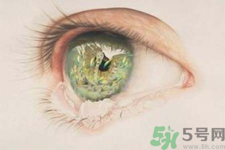 睡覺時流眼淚是怎么回事？如何保護(hù)眼睛？