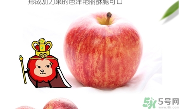 姬娜果是什么？姬娜果的功效作用