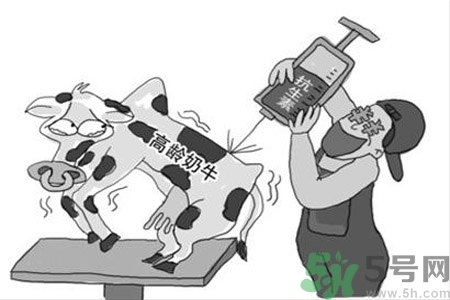 感冒一天吃6片抗生素有危害嗎？抗生素屬于激素類藥物嗎？