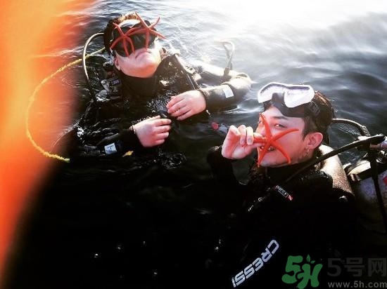 海星可以離開水嗎？海星離開水還可以活多久？