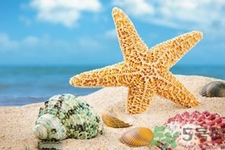 海星可以離開水嗎？海星離開水還可以活多久？