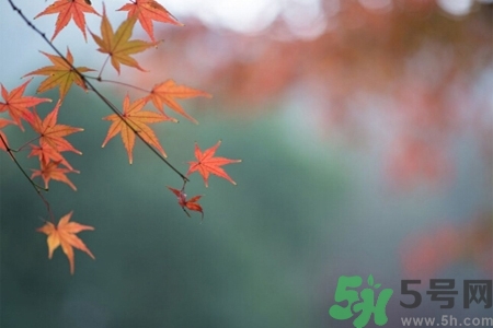 秋老虎如何謹(jǐn)防皮膚病？秋老虎如何預(yù)防皮膚病？