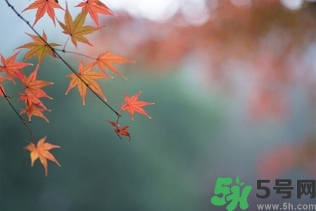 秋天換季病有哪些？秋天該如何保健養(yǎng)生呢？