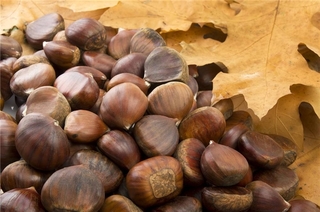 吃板栗上火嗎？板栗吃多了會(huì)上火嗎？