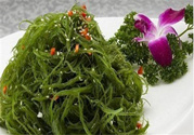 吃海藻有什么好處?海藻的功效與作用
