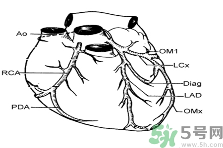 長期酗酒會引起心絞痛嗎？引起心絞痛的原因有哪些？