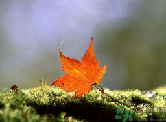  為什么立秋了還這么熱？立秋后要多久才能涼快？