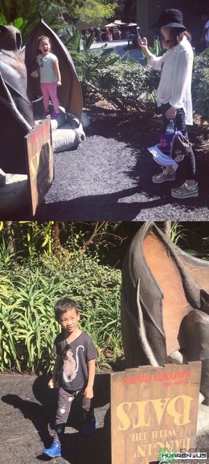 王寶強老婆馬蓉在美國嗎？婚姻中攜款逃跑受什么處罰？