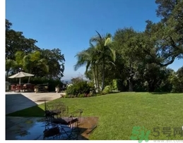 王寶強老婆馬蓉在美國嗎？婚姻中攜款逃跑受什么處罰？