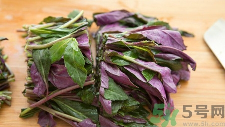 孕婦可以吃紫背天葵嗎?孕婦吃紫背天葵會(huì)怎樣? 孕婦可以吃紫背天葵嗎?孕婦吃紫背天葵會(huì)怎樣?