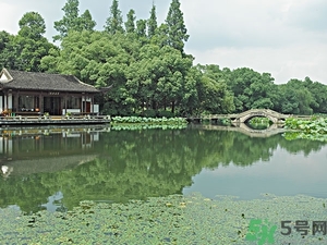 菱角是什么？菱角是什么季節(jié)成熟的？