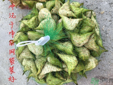 菱角和豬肉能一起吃嗎？菱角和什么不能一起吃？