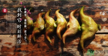 菱角和豬肉能一起吃嗎？菱角和什么不能一起吃？