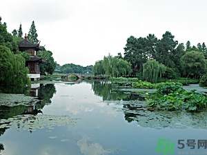 菱角是什么？菱角是什么季節(jié)成熟的？