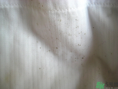 衣服長(zhǎng)黑點(diǎn)怎么洗掉？衣服上長(zhǎng)霉點(diǎn)怎么去除？