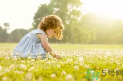 秋季過敏性鼻炎是什么原因引起的？秋季鼻炎過敏怎么辦？