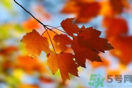 秋燥的表現(xiàn)是什么？小孩如何預(yù)防秋燥？