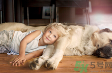 秋季如何預(yù)防過敏性鼻炎？治療過敏性鼻炎的小偏方