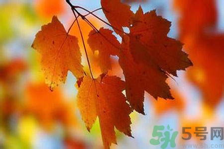 女性秋季防燥需注意哪些？女性秋季防燥吃什么？