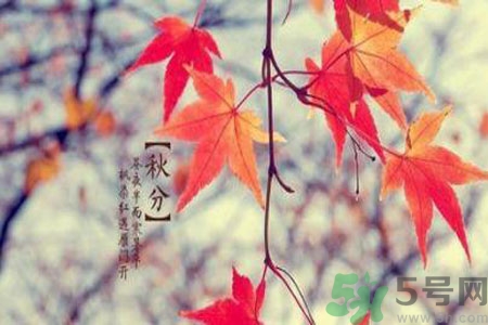 秋季如何預(yù)防去燥防風(fēng)？秋天防燥可以吃什么食物？