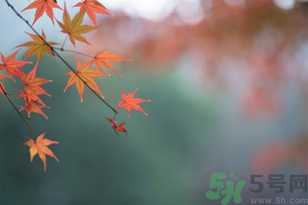 秋季如何預(yù)防去燥防風(fēng)？秋天防燥可以吃什么食物？