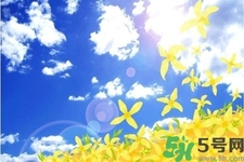 立秋潤肺可以吃什么食物？秋天潤肺可以吃的水果有哪些？