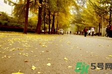 立秋潤(rùn)肺可以吃什么食物？秋天潤(rùn)肺可以吃的水果有哪些？